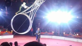Седмо поколение Балкански вече е на цирковия манеж