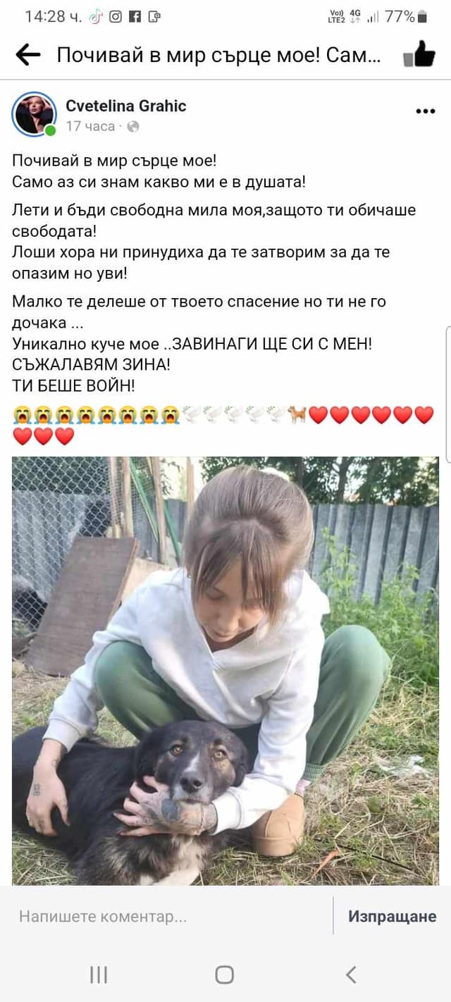 Брутални кадри! Обвиняват Цветелина Грахич в убийство СНИМКИ 18+